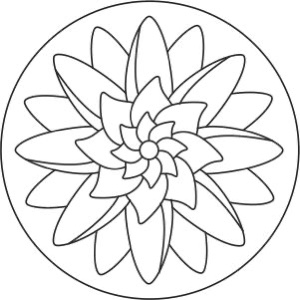 FC5CD373-653A-4C21-9007-6FDB28B58FA7_4_5005_c