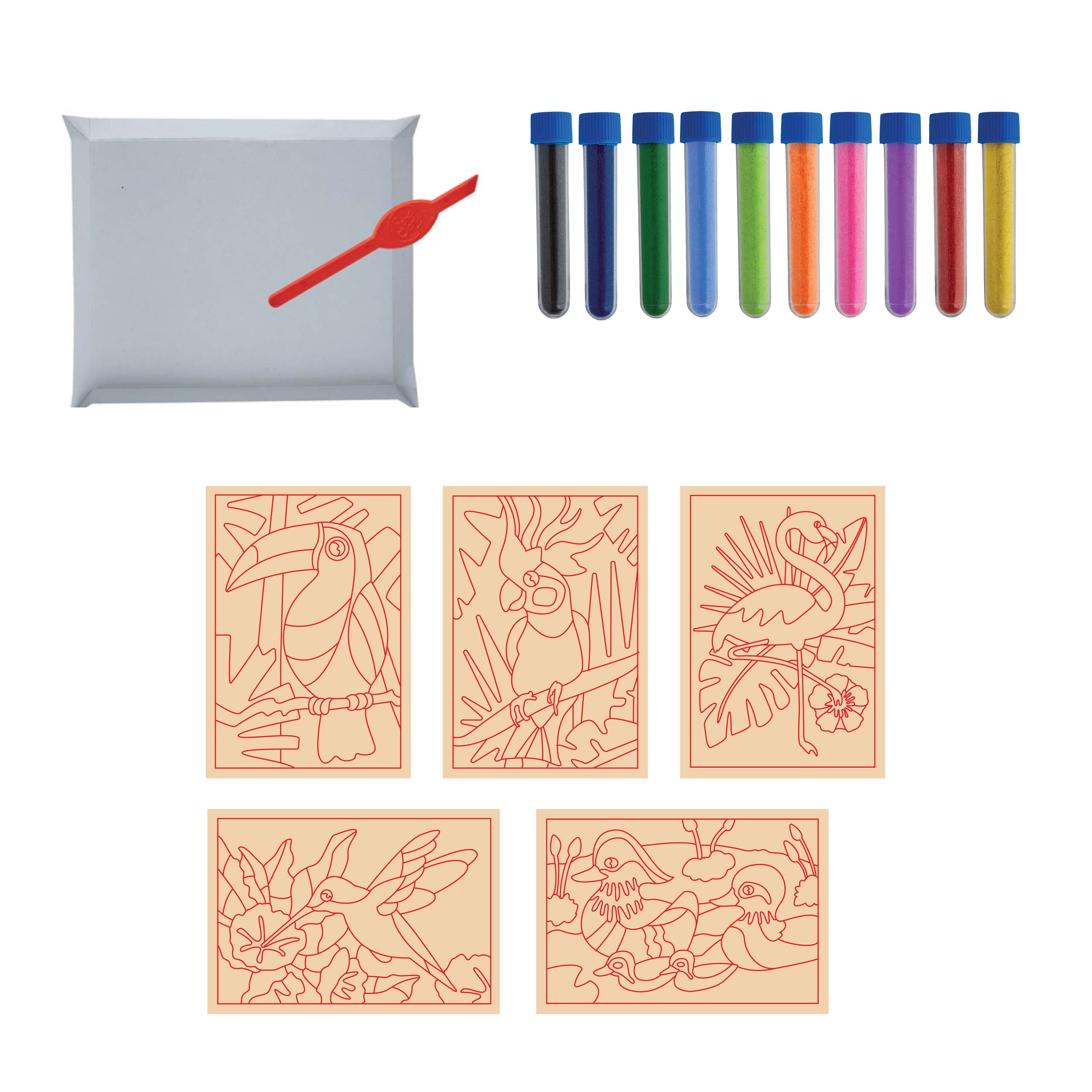 Neon Tropical Birds Postcards